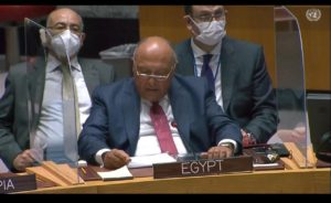 سامح شكري خلال إلقاء كلمته أمام جلسة مجلس الأمن